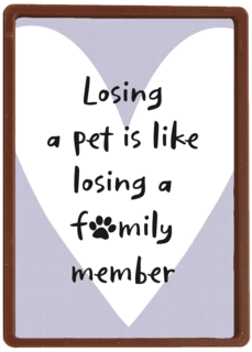 oosing pet like loosing familyl