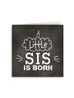 a little sis is born