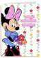 Minnie Mouse Hele fijne verjaardag bloemen