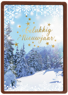 nieuwjaarskaart klassiek sneeuwlandschap