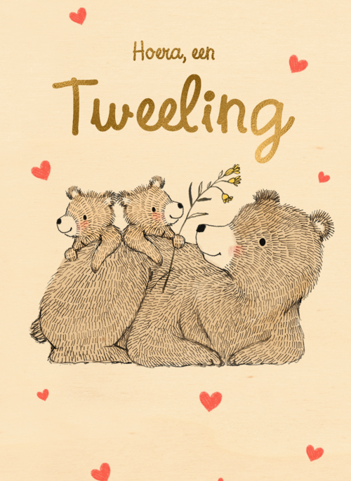 Tweeling geboortefelicitatie 2 lieve beertjes