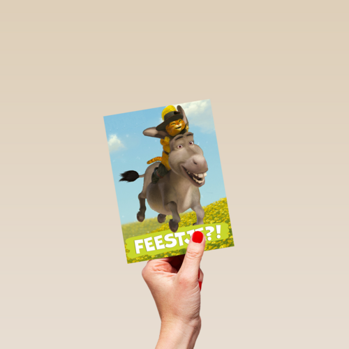 shrek feestje met donkey en puss in boots