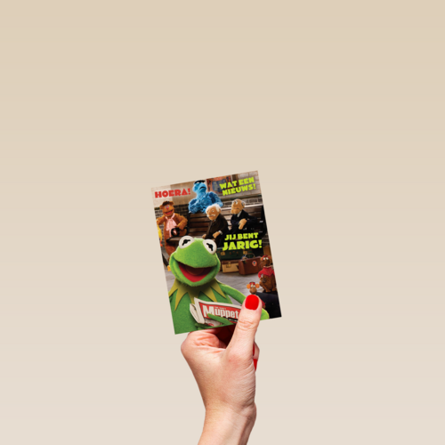 kermit de kikker met de krant