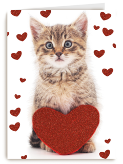 valentijnskaart klassiek poes met hart