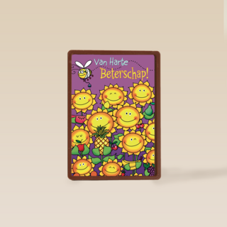 beterschap zonnebloem