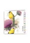 marjolein bastin van harte gefeliciteerd bloem vogel