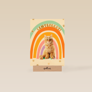 Regenboog Kat Lentefeest