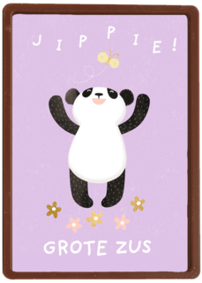 geboorte zusje jippie grote zus