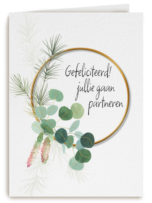 Kaart gefeliciteerd met jullie partneren