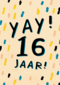 Verjaardagskaart yay 16 tiener jongen meisje