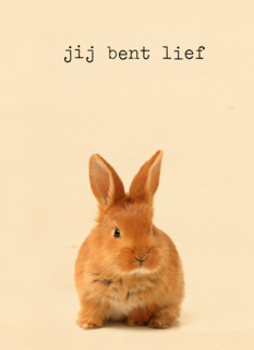 Liefde kaart Furry cuddles jij bent lief