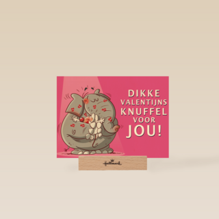 valentijnkaart dikke valentijnsknuffel voor jou