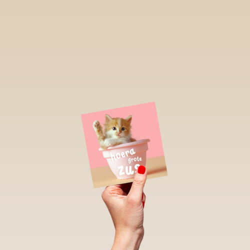 Geboorte felicitatie zusje