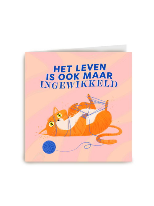 Het leven is ook maar ingewikkeld
