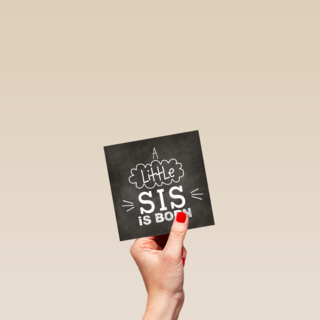a little sis is born