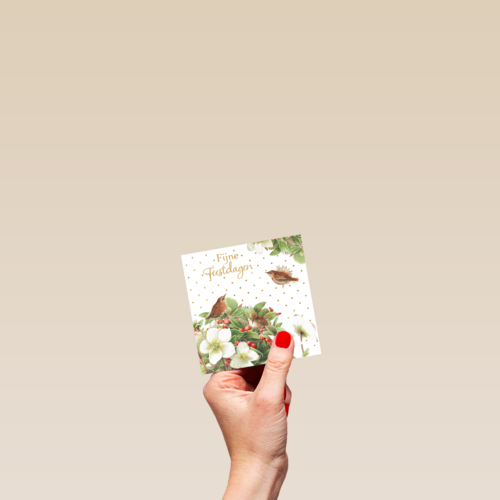 Kerstkaart klassiek Marjolein Bastin Winterkoninkje