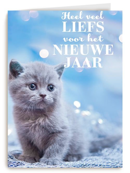 veel liefs voor het nieuwe jaar met deze kitten