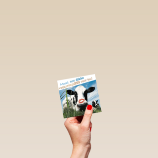 dikke verjaardagskus van een koe