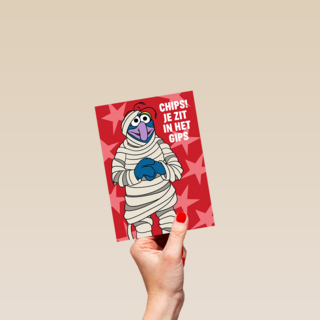 Disney Beterschap Je Zit In Het Gips