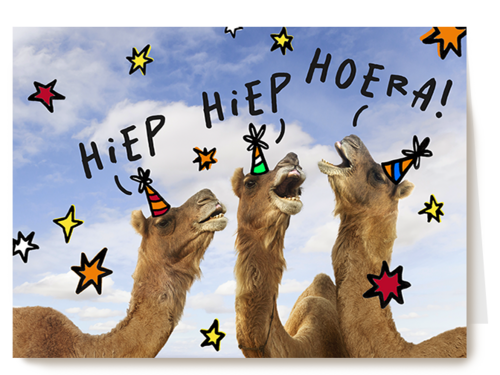 Hiep Hiep Hoera Kamelen