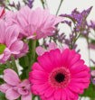 Boeket Bloemen Eleonore