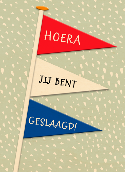 geslaagd kaart nederlandse vlaggetjes