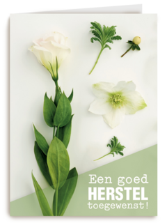 botanical kaart een goed herstel toegewenst