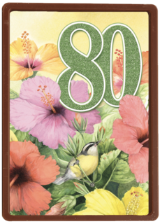 verjaardag leeftijden marjolein bastin 80 jaar