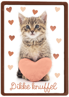 Liefde kaart kat met hart en dikke knuffel