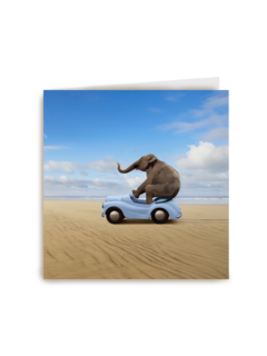 olifant in auto