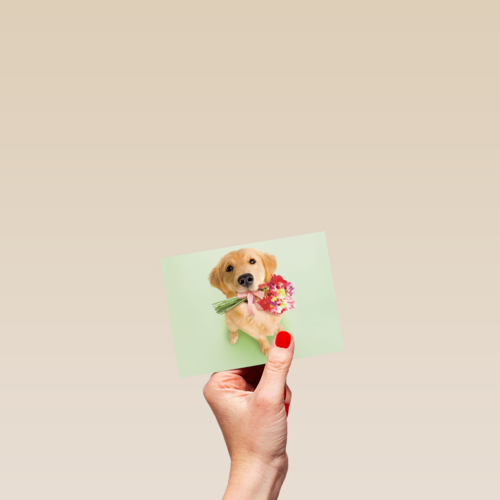 hond met bloemen