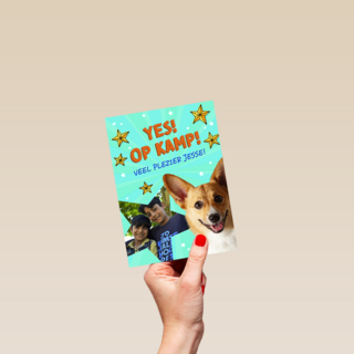 Op kamp corgi