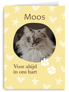 Condoleance Voor Altijd In Ons Hart