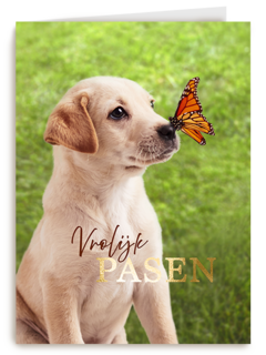 Pasen vrolijk hond vlinder