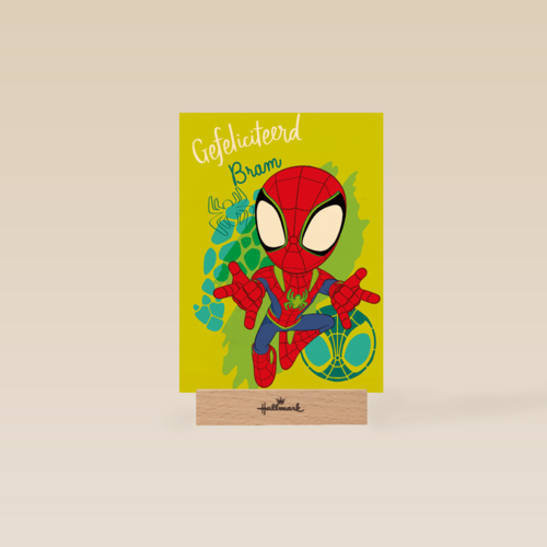 Gefeliciteerd Spidey and Friends