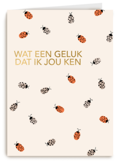 liefde vriendschap kaart wat een geluk dat ik jou ken