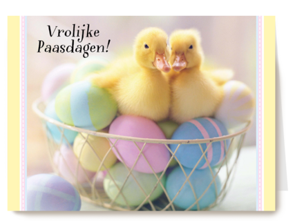 kuikens in mand met gekleurde paaseieren