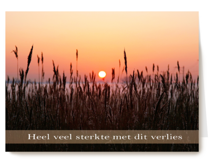 Sterkte met fotografisch ondergaande zon