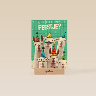 kom jij op mijn lamafeestje