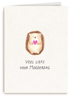 Moederdag Veel LiefsE gel