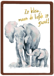 de grote liefde van een olifant