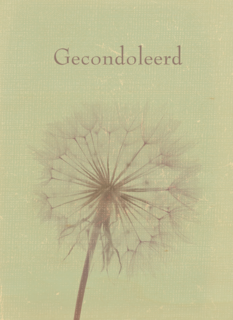 gecondoleerd paardenbloem