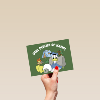 Donald Duck Veel plezier op kamp groen