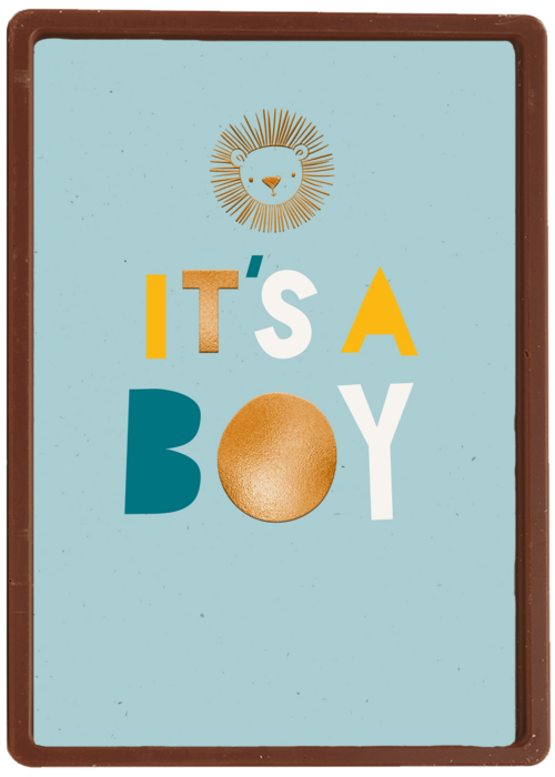 Leeuw it is a boy