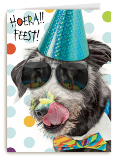 hoera feest hond met zonnebril