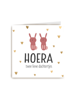 geboorte meerling meisjes hoera lieve dochtertjes