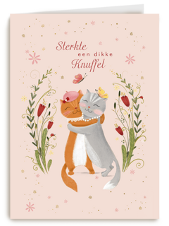 Sterkte Een Dikke Knuffel