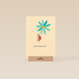 Bedankt kaart lieveheersbeestje