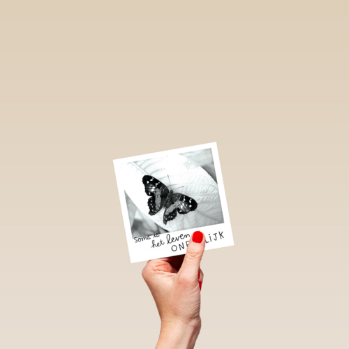 polaroid kaart het leven zo oneerlijk