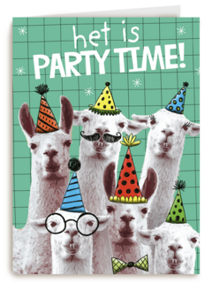 het is partytime met deze lamas